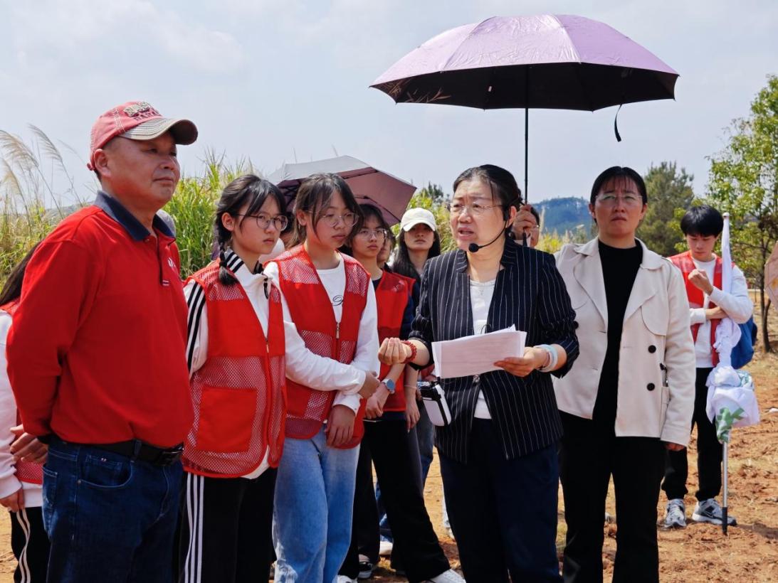 微信图片_20250313150825 微信图片_20250313150825