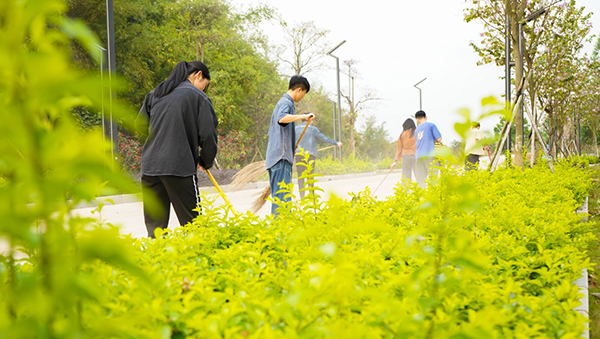 图片7.png 图片7.png