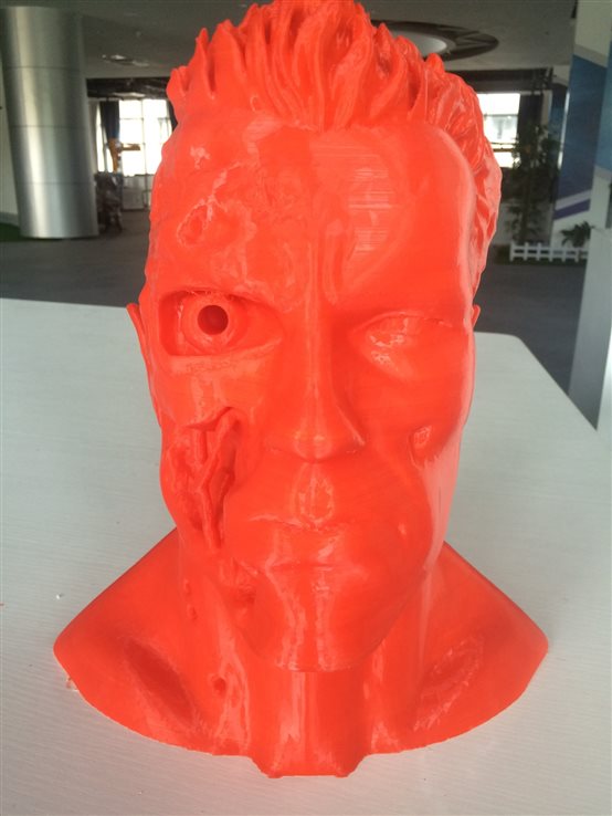 F:\实训室教学图片\3D打印作品\实训室教学图片IMG_2101.JPG